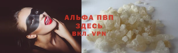 гашик Ачинск