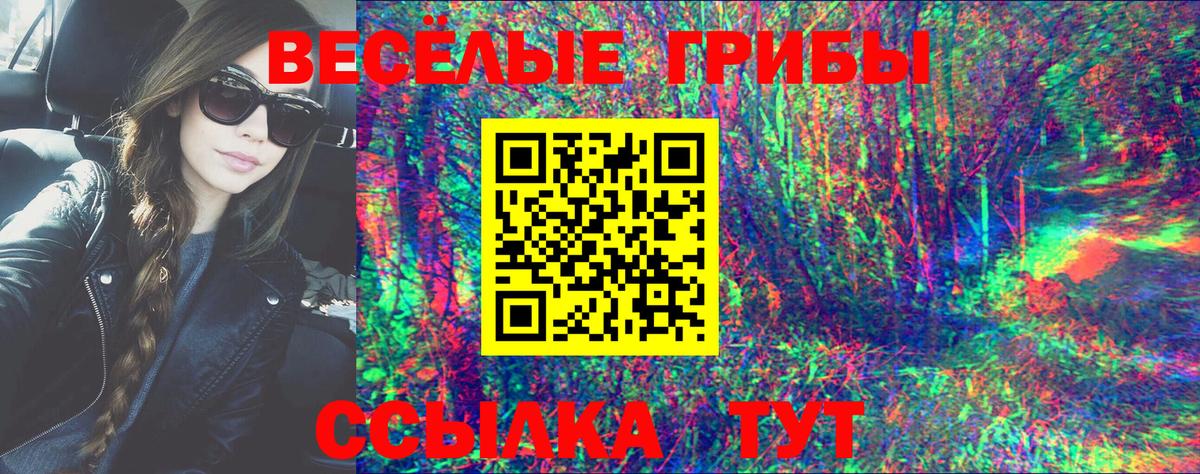 Псилоцибиновые грибы MAGIC MUSHROOMS  Благодарный 