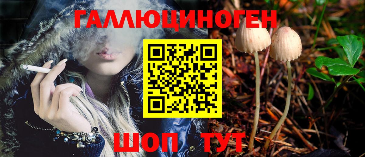 Благодарный  Псилоцибиновые грибы Psilocybe  Вход с VPN 