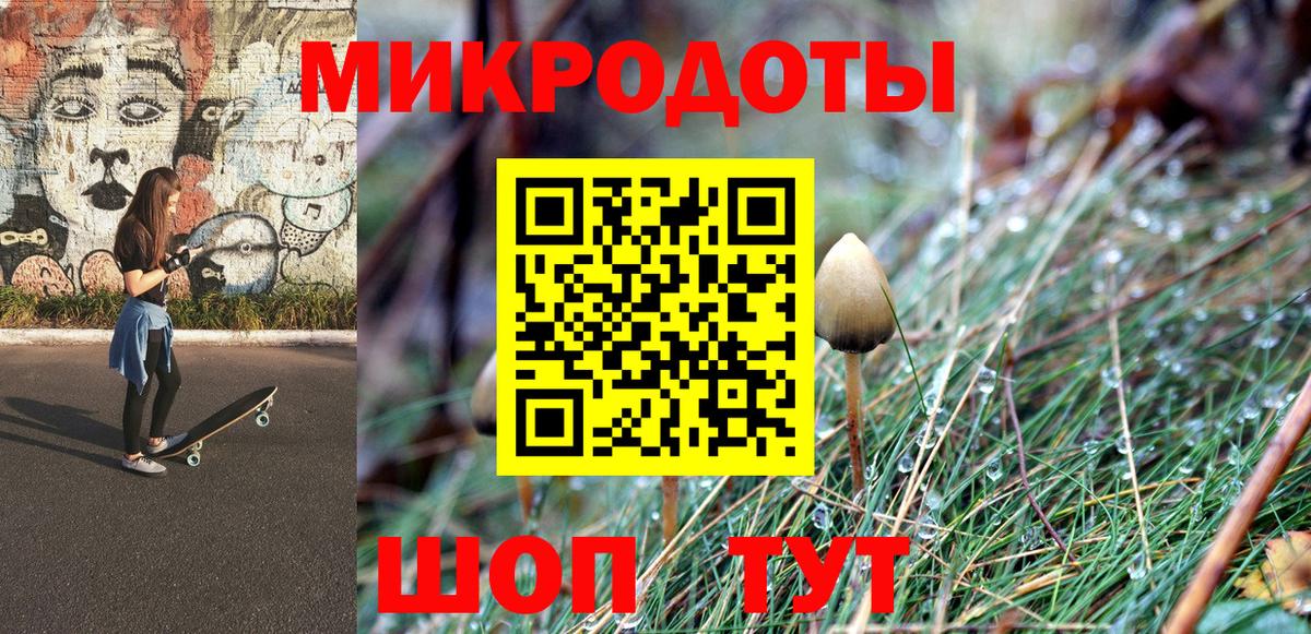 Галлюциногенные грибы Cubensis Благодарный